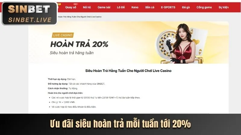 Hoàn trả casino helo888 tải app
